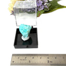 Chrysocolla Mineral Specimen from Congo (Emotional Healing)