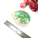 Chrysoprase Egg (Emotional Healing)