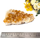 Citrine Cluster (For Career and Business)