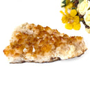 Citrine Cluster (For Career and Business)