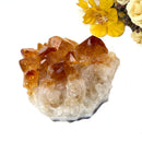 Citrine Cluster (For Career and Business)
