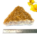 Citrine Cluster (For Career and Business)