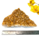 Citrine Cluster (For Career and Business)