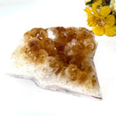 Citrine Cluster (For Career and Business)