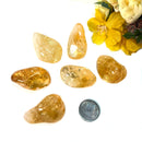 Citrine Tumble (Optimism and Abundance)