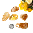 Citrine Tumble (Optimism and Abundance)