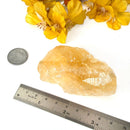 Citrine Rough from Brazil (Professional Growth)