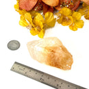 Citrine Rough from Brazil (Professional Growth)