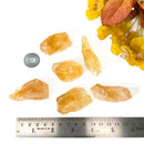 Citrine Rough from Brazil (Professional Growth)