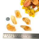 Citrine Rough from Brazil (Professional Growth)