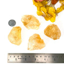 Citrine Rough from Brazil (Professional Growth)