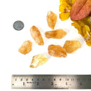 Citrine Rough from Brazil (Professional Growth)