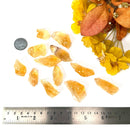 Citrine Rough from Brazil (Professional Growth)