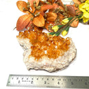 Special Citrine Clusters AAA Extra Quality (Career and Business)