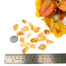Citrine Rough from Brazil (Professional Growth)