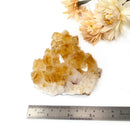 Citrine Cluster (For Career and Business)