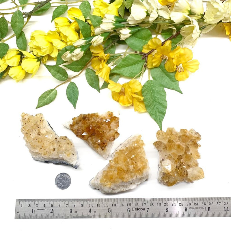 Citrine Cluster (For Career and Business)