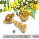 Citrine Cluster (For Career and Business)