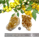 Citrine Cluster (For Career and Business)