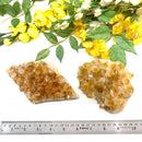 Citrine Cluster (For Career and Business)