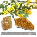 Citrine Cluster (For Career and Business)