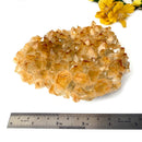 Citrine Cluster (For Career and Business)