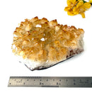 Citrine Cluster (For Career and Business)
