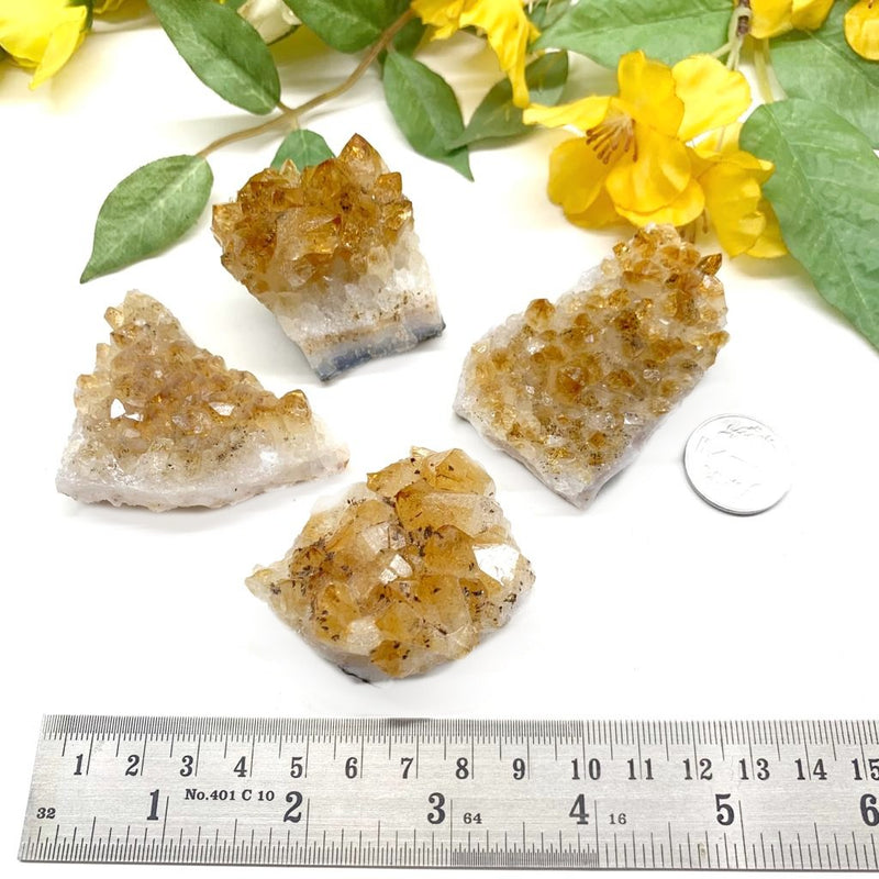 Citrine Cluster (For Career and Business)