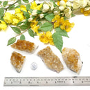 Citrine Cluster (For Career and Business)