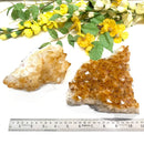 Citrine Cluster (For Career and Business)