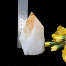 Rare Citrine Free forms with points from Brazil