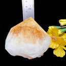 Rare Citrine Free forms with points from Brazil