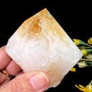 Rare Citrine Free forms with points from Brazil