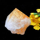 Rare Citrine Free forms with points from Brazil