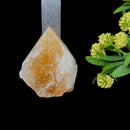 Rare Citrine Free forms with points from Brazil