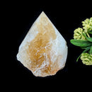 Rare Citrine Free forms with points from Brazil