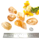 Citrine Jumbo Tumble (Career Growth)