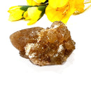 Natural Citrine from Morocco (Career Growth) (Not Heated)