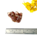 Natural Citrine Clusters from Nigeria (Career) (Not Heated)