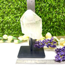 Clear Quartz Point on stand from Brazil