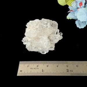 #Size_option a (49.45 g)