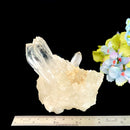 Clear Quartz Cluster (Brazil)