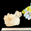 Clear Quartz Cluster (Brazil)