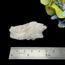 Clear Quartz Cluster (Brazil)