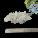 Clear Quartz Cluster (Brazil)