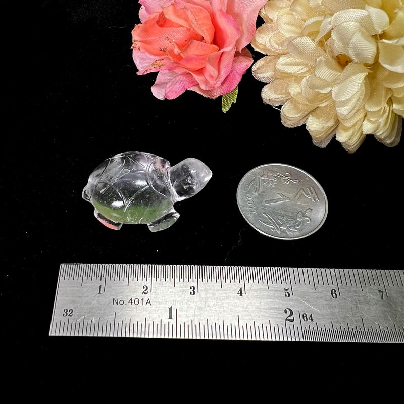 Turtles in Clear Quartz (Raise Vibrations)