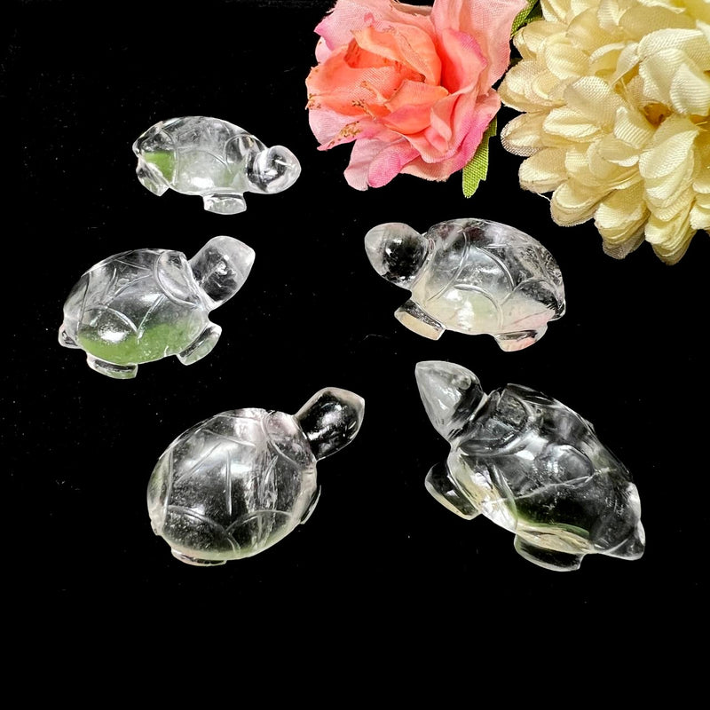 Turtles in Clear Quartz (Raise Vibrations)