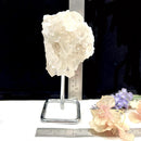 Clear Quartz Cluster on Stand