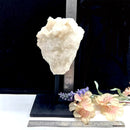 Clear Quartz Cluster on Stand