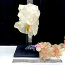 Clear Quartz Cluster on Stand
